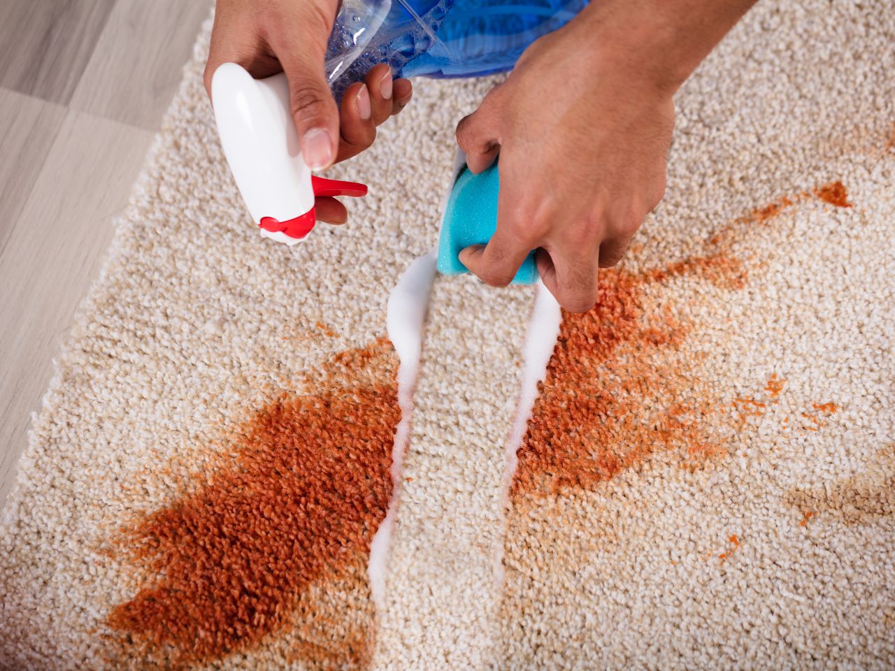 nettoyage-tapis-crystal-clean-paca-à fréjus nettoyage-tapis-crystal-clean-paca-à fréjus